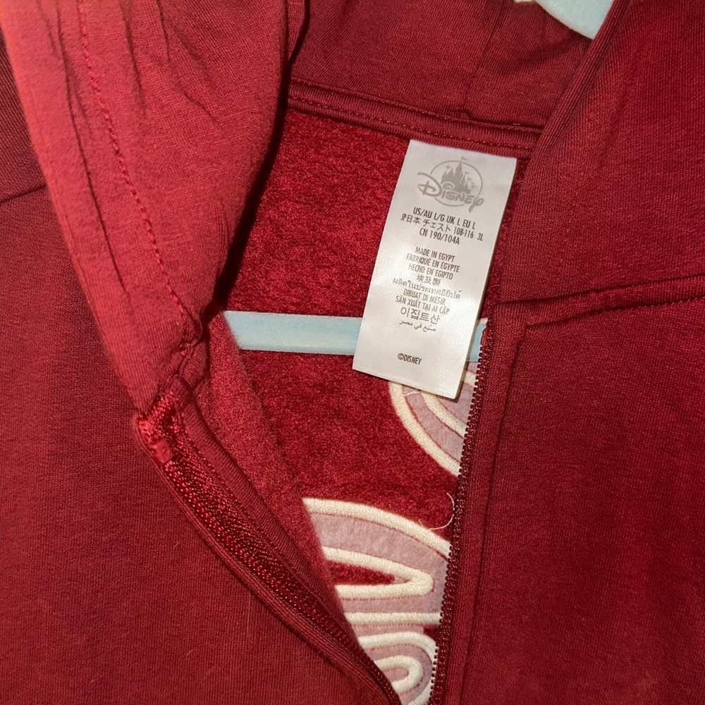 Disney World Maroon Hoodie - Picture 3 of 6